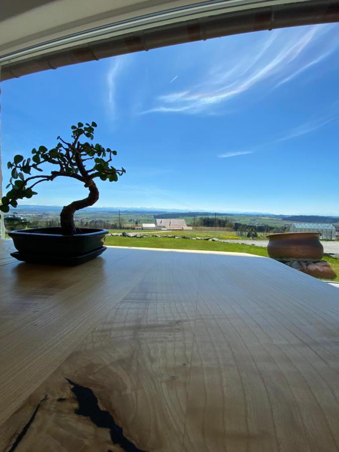 Ferienhaus Alpenblick Auf'M Vorderberg Villa Leutkirch im Allgäu Eksteriør billede